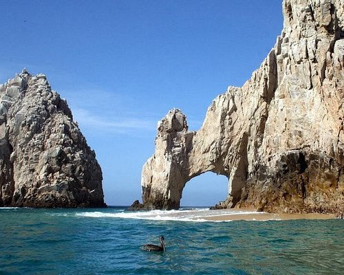 cabos excursions and activities