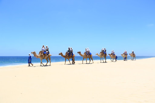 camel-riding