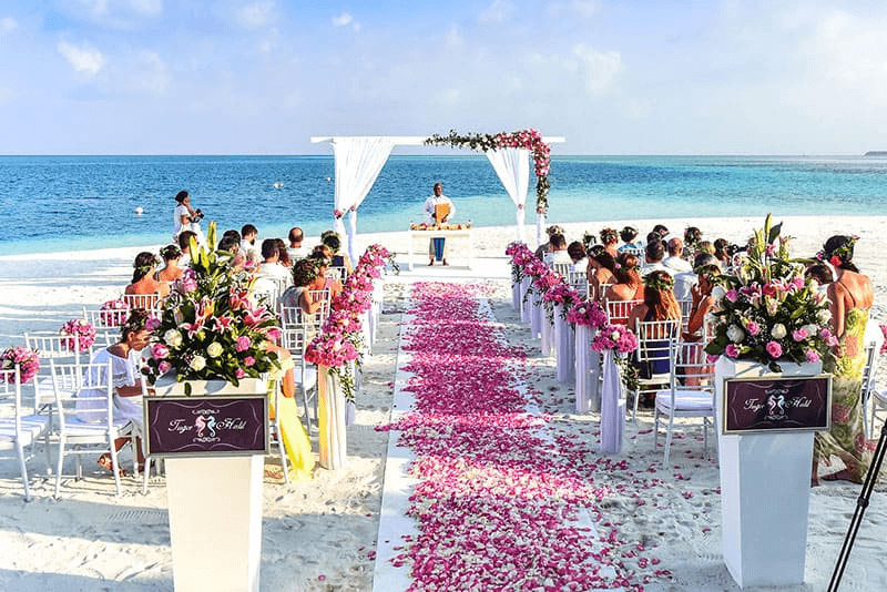  choose the type of Cabo Wedding Services that you desire